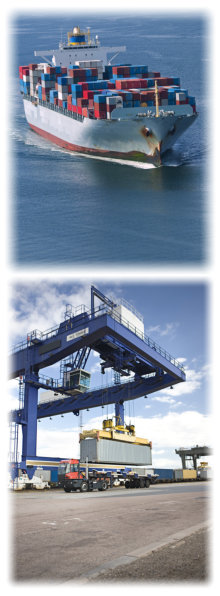 international-export-packers